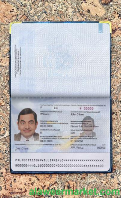 Liechtenstein pass photo look